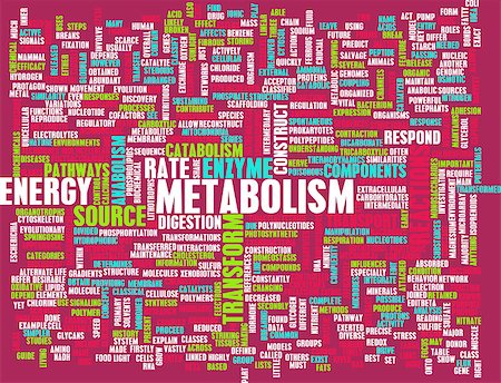 Metabolism as a Medical Health Exercise Concept Stock Photo - Budget Royalty-Free & Subscription, Code: 400-07498394