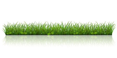 Vector illustration with a beautiful green grass Photographie de stock - Aubaine LD & Abonnement, Code: 400-07498548