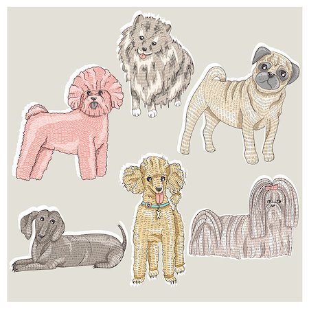shiatsu - Set of cute little breed dogs. Bichon, pug, spitz, dachshund, poodle, shih tzu. Stockbilder - Microstock & Abonnement, Bildnummer: 400-07498774