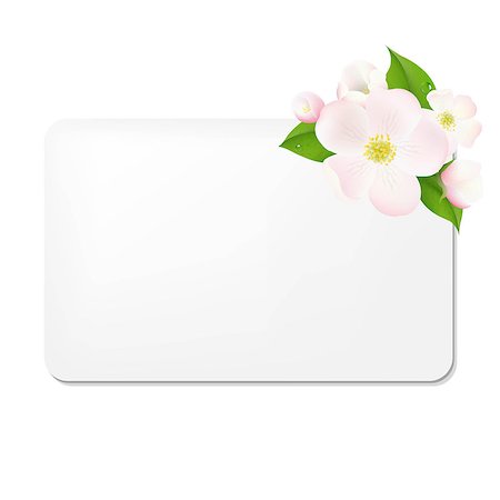 simsearch:400-07427493,k - Apple Tree Flowers With Blank Gift Tags, With Gradient Mesh, Vector Illustration Foto de stock - Royalty-Free Super Valor e Assinatura, Número: 400-07499882