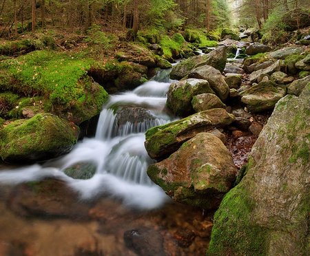 simsearch:400-04779920,k - Spring creek flowing in the channel with moss Stock Photo - Budget Royalty-Free & Subscription, Code: 400-07504167