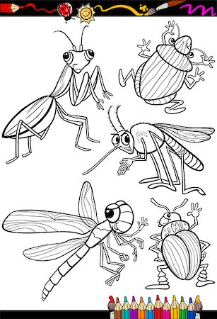 Coloring Book or Page Cartoon Illustration Set of Black and White Insects and Bugs for Children Stock Photo - Budget Royalty-Free & Subscription, Code: 400-07504716