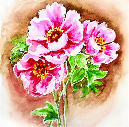 peony art - Painted watercolor card with peony flowers Stock Photo - Budget Royalty-Free & Subscription, Code: 400-07505785