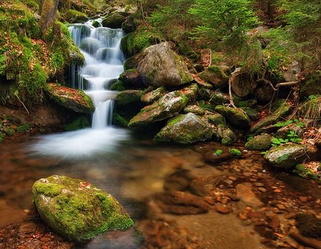 simsearch:400-07306253,k - Spring creek flowing in the channel with moss Stock Photo - Budget Royalty-Free & Subscription, Code: 400-07505987