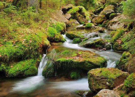 simsearch:400-07306253,k - Spring creek flowing in the channel with moss Stock Photo - Budget Royalty-Free & Subscription, Code: 400-07505983