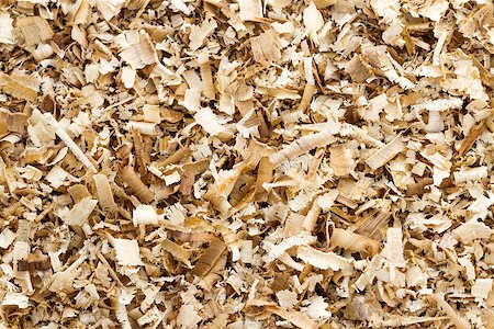 simsearch:400-05890753,k - Background of the golden curls from teak Wood shavings. Photographie de stock - Aubaine LD & Abonnement, Code: 400-07506005