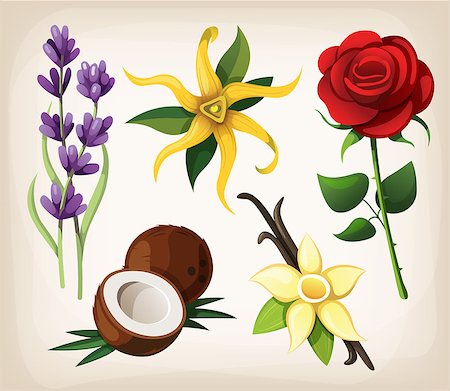 A collection of colorful vector flowers. Vector Stockbilder - Microstock & Abonnement, Bildnummer: 400-07506421