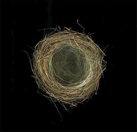 empty birds nest - Bird nest isolated on black background Stock Photo - Budget Royalty-Free & Subscription, Code: 400-07506550