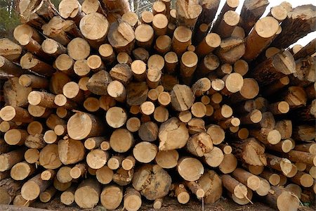 heap  log woodpile, stack tree brown nature Stock Photo - Budget Royalty-Free & Subscription, Code: 400-07506968