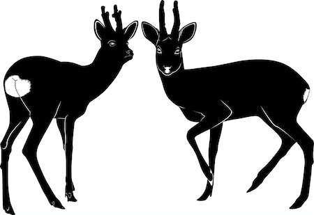 simsearch:400-07062357,k - deer nature animal wildlife silhouette Fotografie stock - Microstock e Abbonamento, Codice: 400-07507637