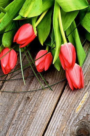 simsearch:400-08011304,k - Frame of Five Spring Red Tulips with Green Grass isolated on Rustic Wooden background Stock Photo - Budget Royalty-Free & Subscription, Code: 400-07508620