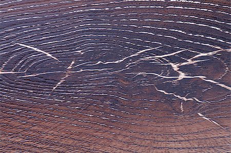 simsearch:400-08013576,k - Background of Dark Brown Hardwood with Rough and Peel closeup Stockbilder - Microstock & Abonnement, Bildnummer: 400-07508623