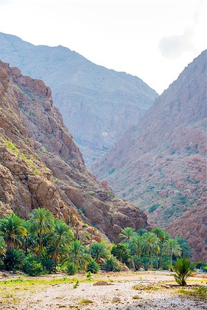 Image of Wadi Shab in Oman with rocks and palms at sunset Foto de stock - Super Valor sin royalties y Suscripción, Código: 400-07508728