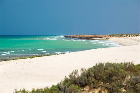 simsearch:400-07508735,k - Images of Oman beach with sea Stockbilder - Microstock & Abonnement, Bildnummer: 400-07508731