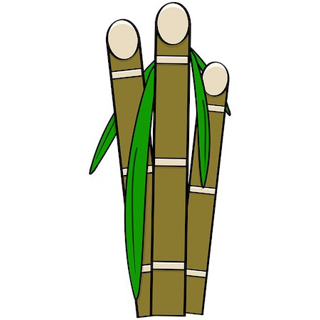 Cartoon illustration showing three stalks of sugar cane with leaves Stock Photo - Budget Royalty-Free & Subscription, Code: 400-07509055