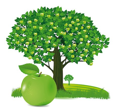 simsearch:400-06384379,k - Apple with apple tree Stock Photo - Budget Royalty-Free & Subscription, Code: 400-07500042