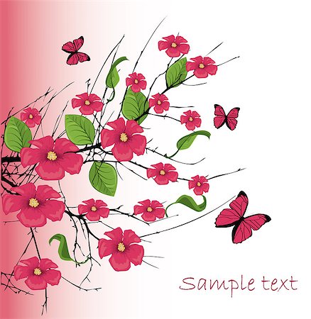 simsearch:400-04907882,k - vector cherry blossom with butterfly Fotografie stock - Microstock e Abbonamento, Codice: 400-07500925