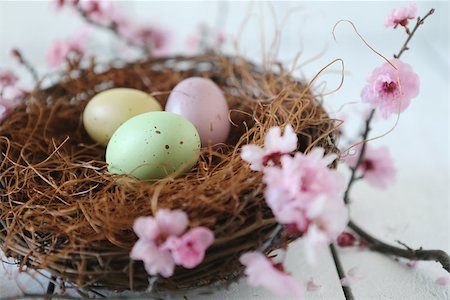 Spring Easter Holiday Themed Still Life Scene in Natural Light Fotografie stock - Microstock e Abbonamento, Codice: 400-07501228