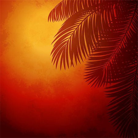 Vector illustration branches of palm trees at sunset Photographie de stock - Aubaine LD & Abonnement, Code: 400-07501336