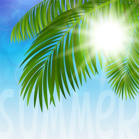 Vector illustration branches of palm trees and the sun rays Photographie de stock - Aubaine LD & Abonnement, Code: 400-07501339