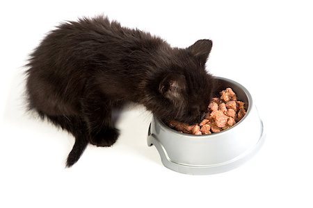 simsearch:400-05181259,k - Cute black kitten eating cat food, isolated on  a white background Foto de stock - Super Valor sin royalties y Suscripción, Código: 400-07501646