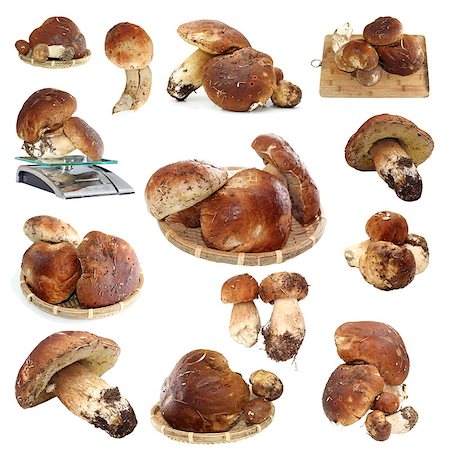 simsearch:400-07038465,k - collection of fungi porcini ready for cooking isolated over white background Photographie de stock - Aubaine LD & Abonnement, Code: 400-07502924