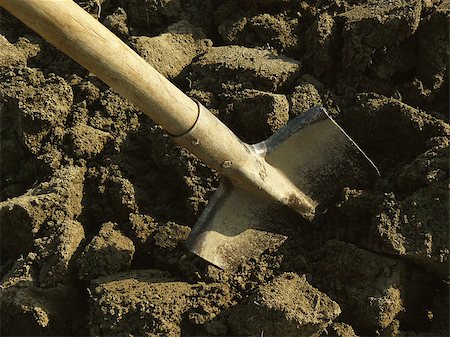 shovel in dirt - shovel in the ploughed ground Stock Photo - Budget Royalty-Free & Subscription, Code: 400-07503200