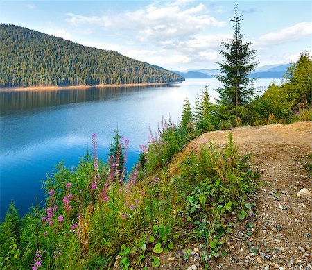 Mountain Lake Vidra summer evening view (near Romania Transalpina road) Photographie de stock - Aubaine LD & Abonnement, Code: 400-07515070