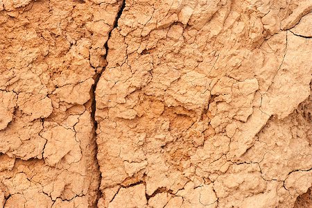 simsearch:400-06327934,k - cracked clay ground into the dry season Stockbilder - Microstock & Abonnement, Bildnummer: 400-07515140