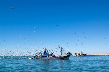 Fishing schooner comes into the port is full of catch. Sunny day. Photographie de stock - Aubaine LD & Abonnement, Code: 400-07515279