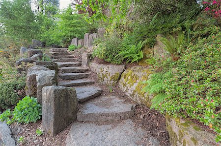 Garden Stone Stair Steps Hardscape with Natural Rocks with Plants Trees Ferns Landscaping Stock Photo - Budget Royalty-Free & Subscription, Code: 400-07515416