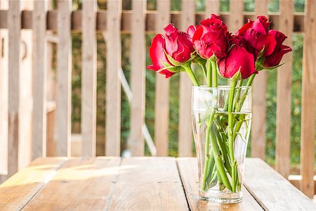Morning sun shining on red roses vase, stock photo Stockbilder - Microstock & Abonnement, Bildnummer: 400-07515895