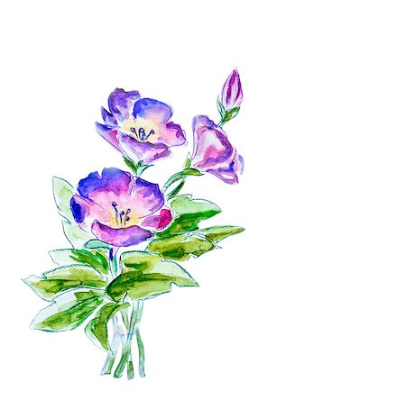 simsearch:400-07893049,k - Spring flowers in vase, watercolor illustration Photographie de stock - Aubaine LD & Abonnement, Code: 400-07516087