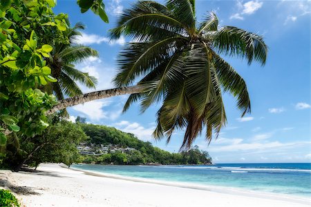 praslin island - Sunny beach on Saychelles island. Mahe. Foto de stock - Royalty-Free Super Valor e Assinatura, Número: 400-07516294