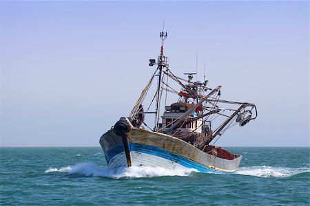 seagull on ship - A fishing boat is at sea fishing. Sunny. Photographie de stock - Aubaine LD & Abonnement, Code: 400-07516348