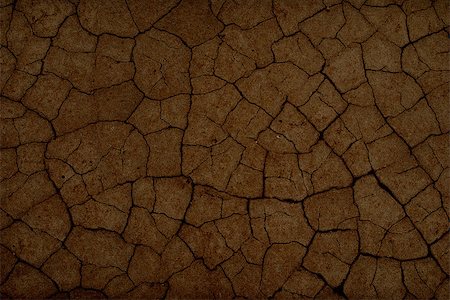 simsearch:400-05292342,k - cracked earth texture Stock Photo - Budget Royalty-Free & Subscription, Code: 400-07516618