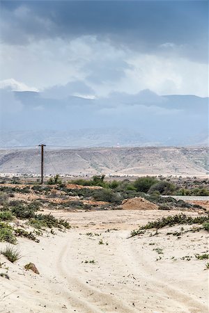 simsearch:400-07508735,k - Landscape in Oman with sand, stones, bushes and grey clouds Stockbilder - Microstock & Abonnement, Bildnummer: 400-07517849