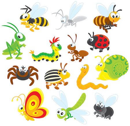Collections of insects on a white background with fly, butterfly, dragonfly, snail, worm, potato beetle, spider, ladybug, ant, caterpillar, grasshopper, bee, wasp and mosquito Photographie de stock - Aubaine LD & Abonnement, Code: 400-07518247
