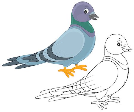 simsearch:400-07518178,k - Gray pigeon, color and black-and-white vector illustrations on a white background Stockbilder - Microstock & Abonnement, Bildnummer: 400-07518254