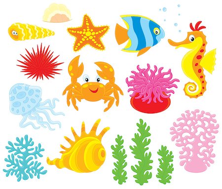 Set of cartoony sea animals, corals and algae, vector clip-arts on a white background Foto de stock - Royalty-Free Super Valor e Assinatura, Número: 400-07518256