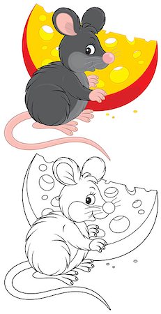 simsearch:400-07518178,k - Black and grey rat sitting with a big piece of cheese, color and black-and-white illustrations on a white background Stockbilder - Microstock & Abonnement, Bildnummer: 400-07518281