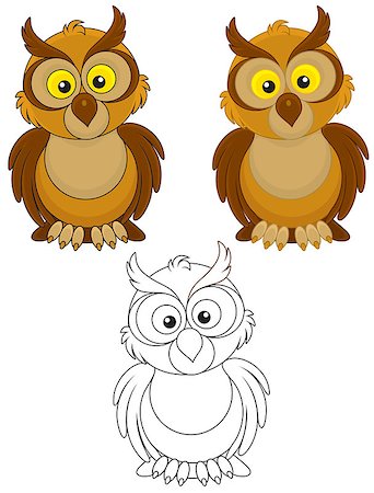 Owl with big yellow eyes, color and black-and-white outline vector illustrations Stock Photo - Budget Royalty-Free & Subscription, Code: 400-07518292