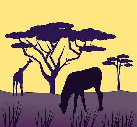 simsearch:400-07975760,k - African animals graze on the savannah in the sunset. Fotografie stock - Microstock e Abbonamento, Codice: 400-07518485