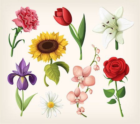 Set of romantic summer flowers. Vector Stockbilder - Microstock & Abonnement, Bildnummer: 400-07510511