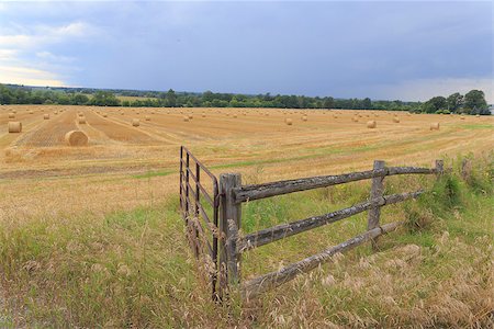Farmers field with a fence Foto de stock - Royalty-Free Super Valor e Assinatura, Número: 400-07510893