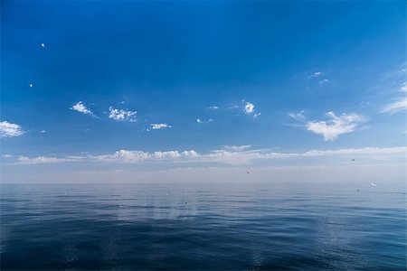 Beautiful sunny day with blue sky over the sea. Calm. Fotografie stock - Microstock e Abbonamento, Codice: 400-07511317