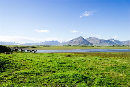 simsearch:400-08556910,k - Beautiful blue lake against mountain background, Iceland, good summer weather Stock Photo - Budget Royalty-Free & Subscription, Code: 400-07511559