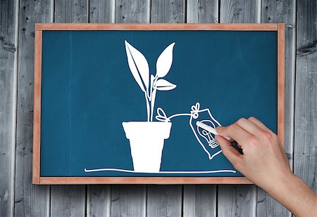 Composite image of hand drawing plant with chalk on chalkboard on grey wooden planks Stock Photo - Budget Royalty-Free & Subscription, Code: 400-07512354