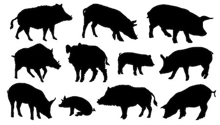 food tattoos - pig silhouettes on the white background Stock Photo - Budget Royalty-Free & Subscription, Code: 400-07513216