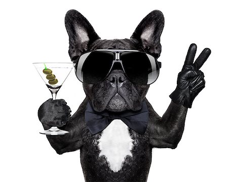 simsearch:400-07822392,k - dog with martini cocktail and victory or peace fingers Foto de stock - Super Valor sin royalties y Suscripción, Código: 400-07513693